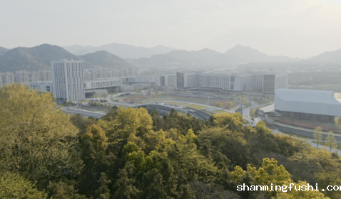 南区全景
