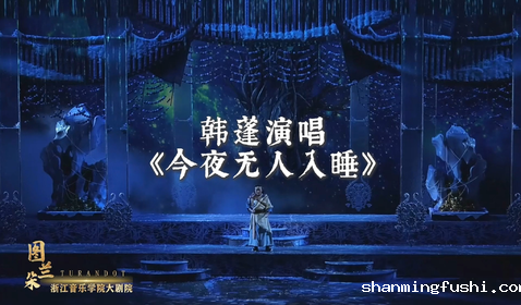 《今夜无人入睡》